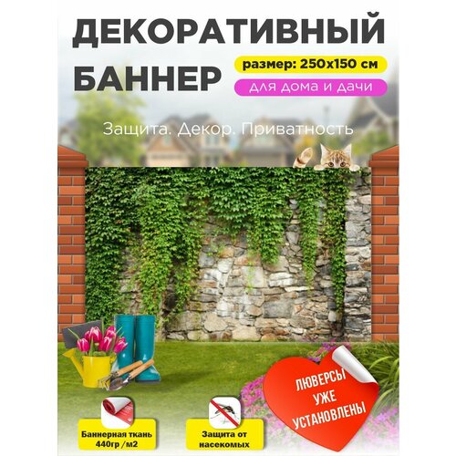 ������ ������ ��������� ������ �� ����� � ��������� 250�150 �� ����