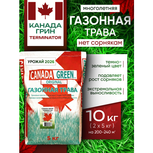 ������ ������ �������� ����� ������ ������ ���� ��� �������� 10�� / Canada Green Terminator 10�� ����