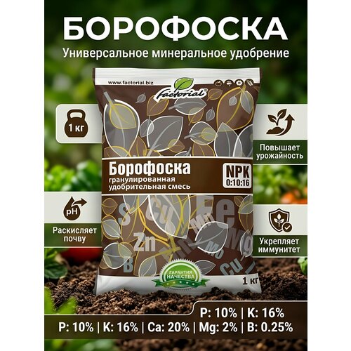 ������ ������ ��������� ��������� Factorial ����������� ��������������� 1 �� ��� ����� �������� ������������� ������� ��� ���� � ������� ����