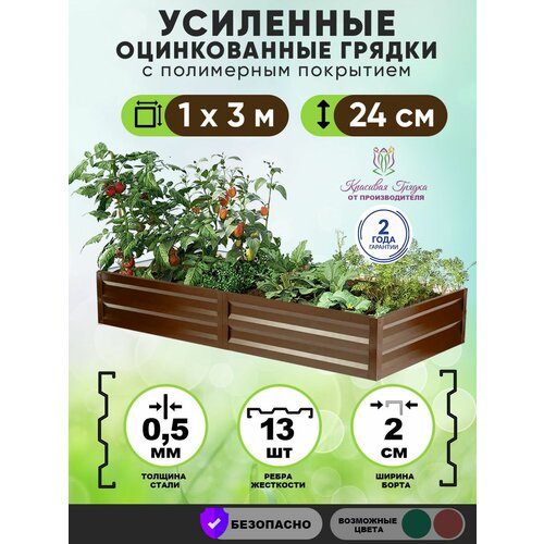 ������ ������ ������ ������������ �� ���� � ���������� ��������� ��������� 3�1 ���� / ���������� ������������� ��� �������� � ������� � �������� ����� / ������ ��� ���� � ������� ������ ����� 24 �� ����