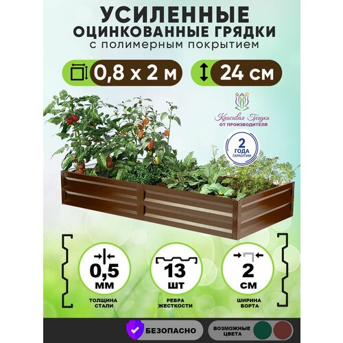 ������ ������ ������ ������������ �� ���� ��������� 2�0,8 ����� / ���������� ������������� ��� ������ ���� ������ � ������� ������� / ������ ��� ���� � ������� ������ ����� 24 �� ����