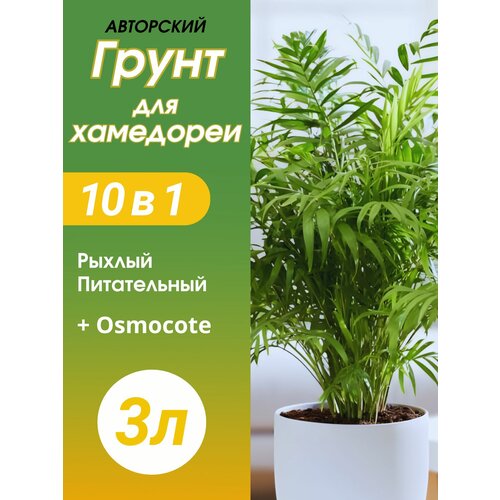 ������ ������ ����� ��� ��������� 3� ������� ����