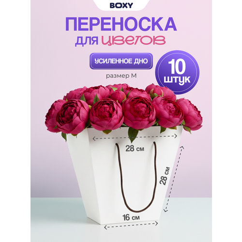 ������ ������ �������-��������� ��� ��������������� ������ ��������� � �������, 280�280�160, ����� ����, 10 �� � �������� ����