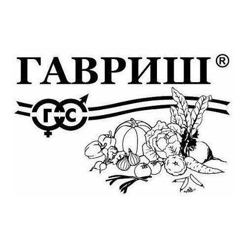 ������ ������ ������. ����-������� 