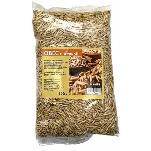 ������ ������ ���� �������� (�������), 500 ��, 1 ��. ����