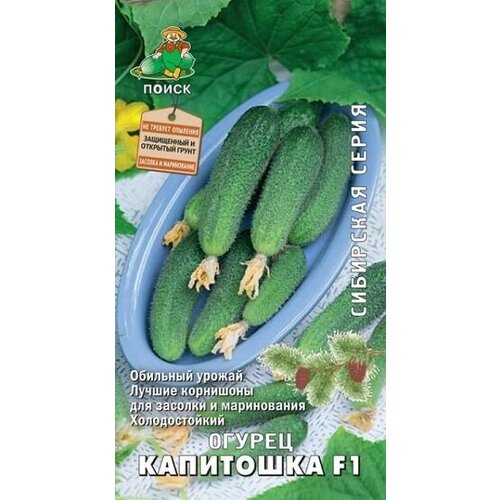 ������ ������ ������ ��������� F1 12�� ����� ����