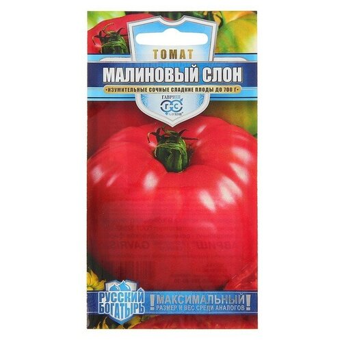 ������ ������ ����� ��������� ���� (������) ����