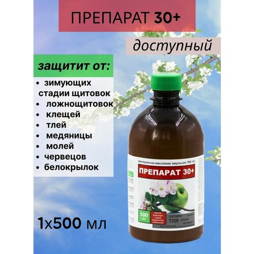 ������ ������ �������� ������ �������� 30 ���� 0.5� ����