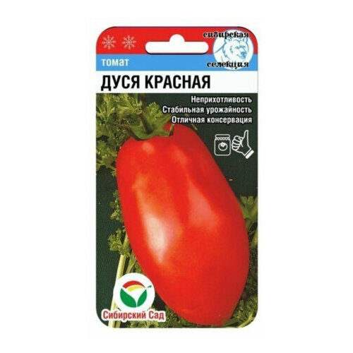 ������ ������ ������ ����� ���� ������� 20�� ��� (��������� ���) ����