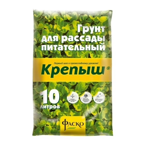 ������ ������ ����� ����� ������ ��� �������, 10 � ����