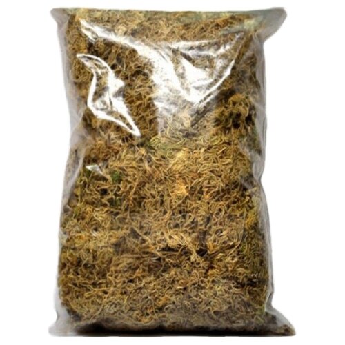 ������ ������ ��� ����� ��������� ������� ������� �������, 1 �, 0.25 �� ����