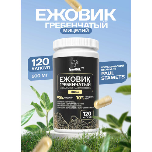 ������ ������ ������(������) ����������� ������� ����Nik - 500 �� � 120 ������ ����