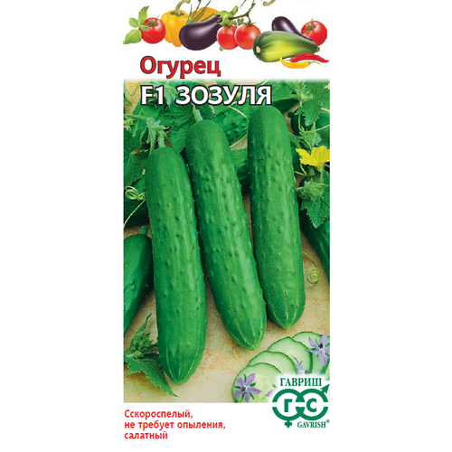 ������ ������ ������ ������ ������ F1 10�� ������������������ ������ (������) ����