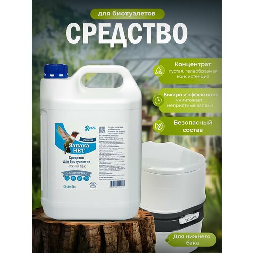 ������ ������ �������� ��� ���������� ������ ��� 5 � ������ ���, ���������� ����