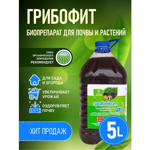 ������ ������ ����������� ���������� ������, Trichoderma viride �� ��������� �����������, ��������� 