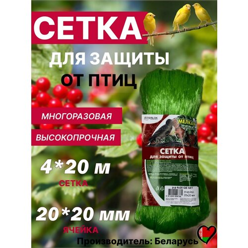 ������ ������ ����� �� ���� ��� �������� �������� ������ �������� ������� 4�20 ����