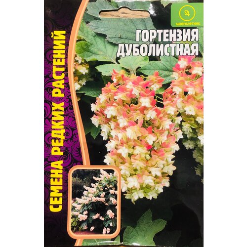 ������ ������ ������ ��������� ����������� (20 �����) ����