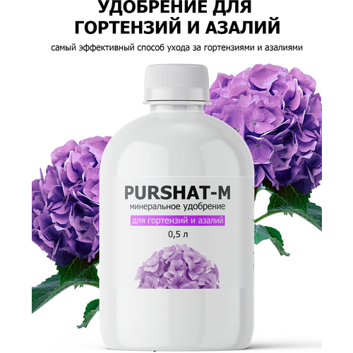    ,     (Purshat) 500    -     , -,   