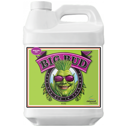 ������ ������ ���������� Advanced Nutrients Big Bud Liquid 0,5 � ����
