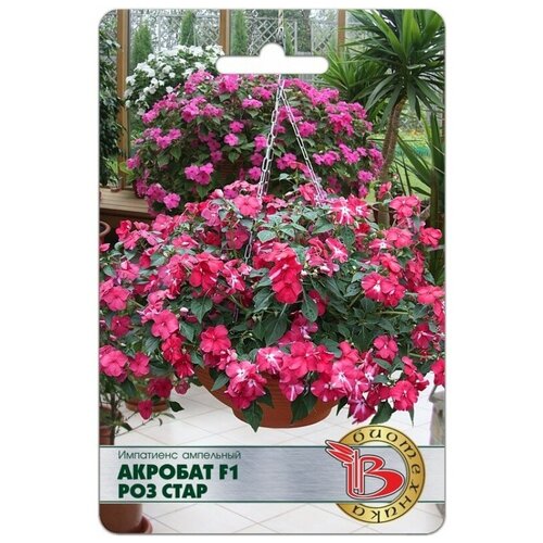 ������ ������ ������ ���������� ���������� 