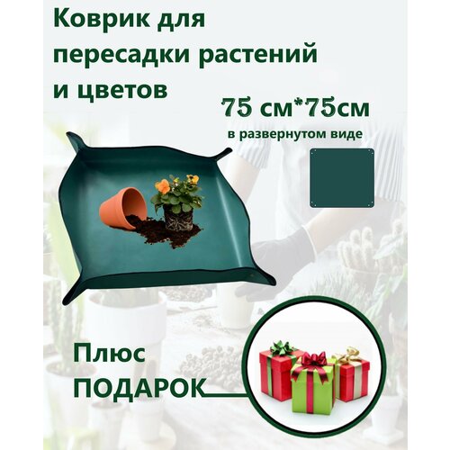 ������ ������ ������ ��� ��������� �������� � ������ ����� ������� ����