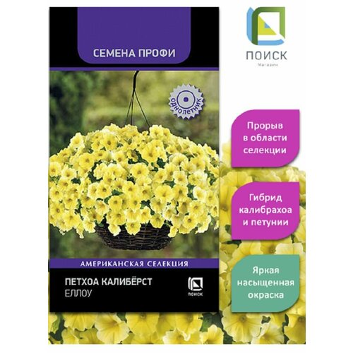 ������ ������ ������ �������� ����� 5 ����� /����� ����