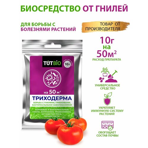 ������ ������ �������� ������ ����������� ���������� 10� ����