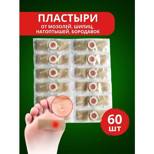 ������ ������ �������� �������� �� ����� �������, ����� 60 �� ����