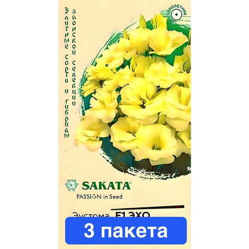 ������ ������ ����� ������� ��� ������ F1 3 ������ ����