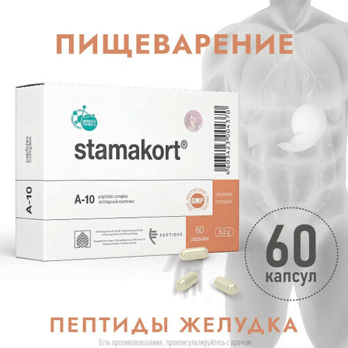 ������ ������ ��������� ����., 0.2 �, 60 ��., 1 ��. ����