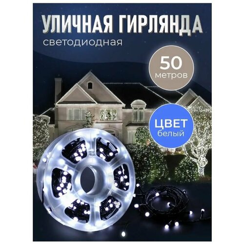    50  /    /    /    / 240 LED -     -     , -,   