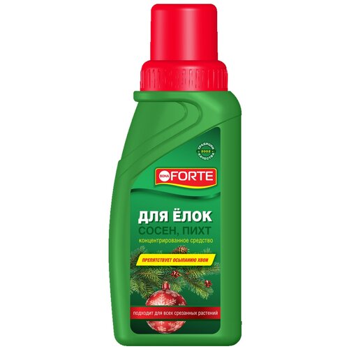 ������ ������ �������� ��� ��������� ����� ���������� ����, ����, ���, 285 �� ����