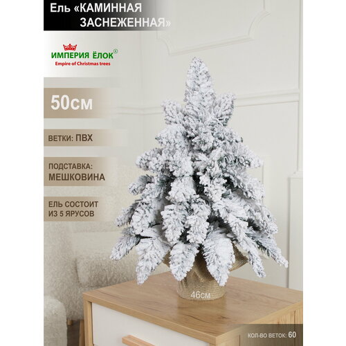 ������ ������ ���� ������������� ���������� ����������� ���������� 50�� ����