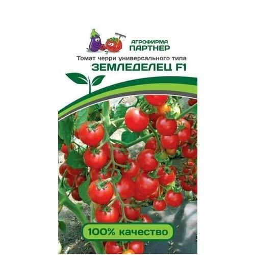 ������ ������ ����� ����� ���������� F1 ������ ������� (1 ��������-0,05 � �����) ����