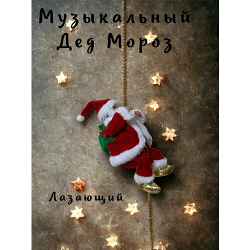 ������ ������ ��� ����� ��������� �� ������� ����� ��� 2024 ������� �� ���� Berd ����