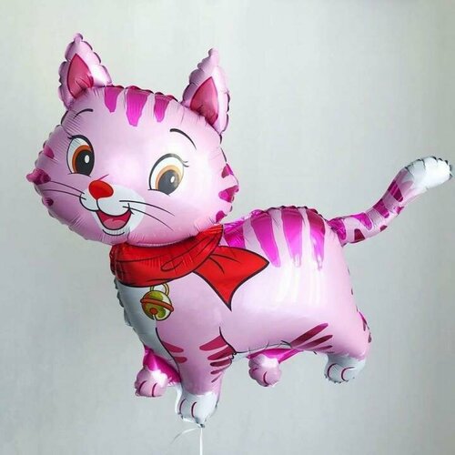 ������ ������ ��������� ��� �������������� ������ ������ 