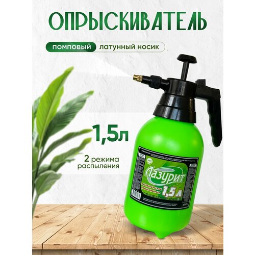 ������ ������ �������������, ������������� ������� 1,5 � ������� ����