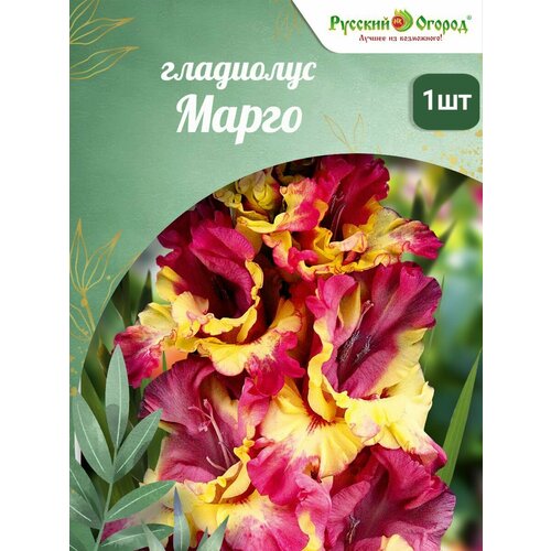 ������ ������ ��������� 