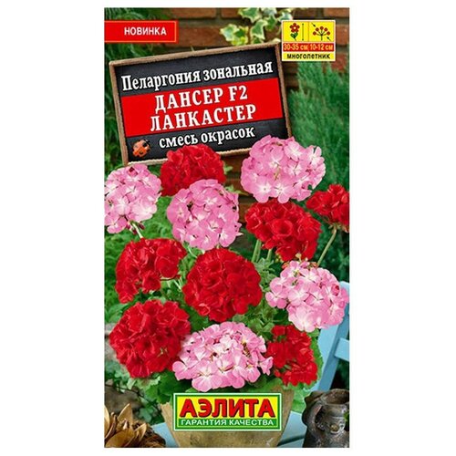 ������ ������ ������ ��������� ������ ���������� ������ F2 ���������, ����� �������, 5 ��. ����