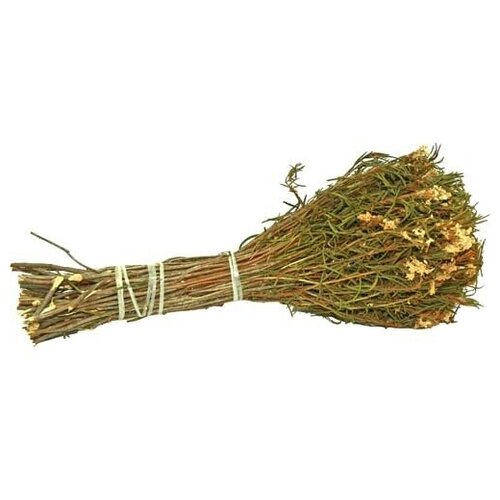 ������ ������ ����� �� ���������� ����