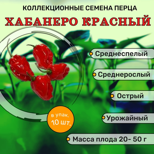 ������ ������ ������������� ������ ����� ������� �������� ������� ����