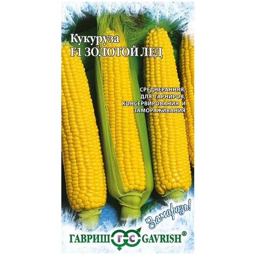 ������ ������ ������ �������� ������� ��� F1, 5,0�, ������, ��������, 10 �������� ����