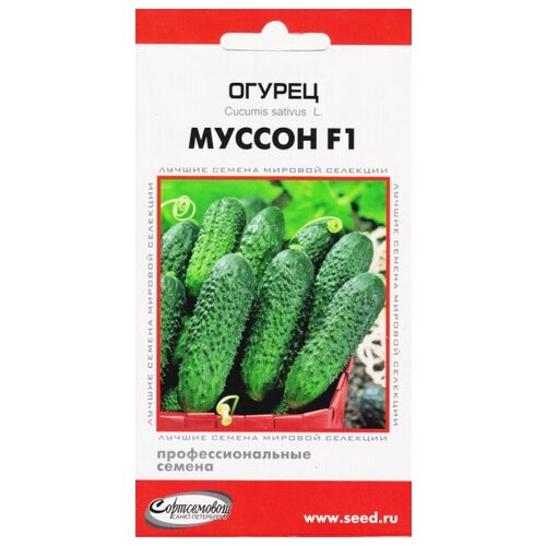 ������ ������ ������ ������ F1, 6 ����� ����