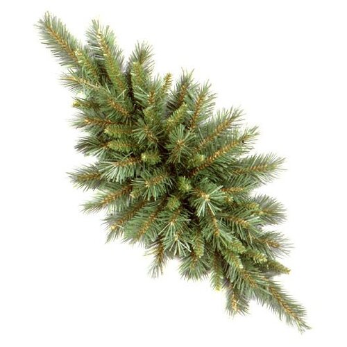  National Tree Company    76 ,  31TF30C   -     , -,   