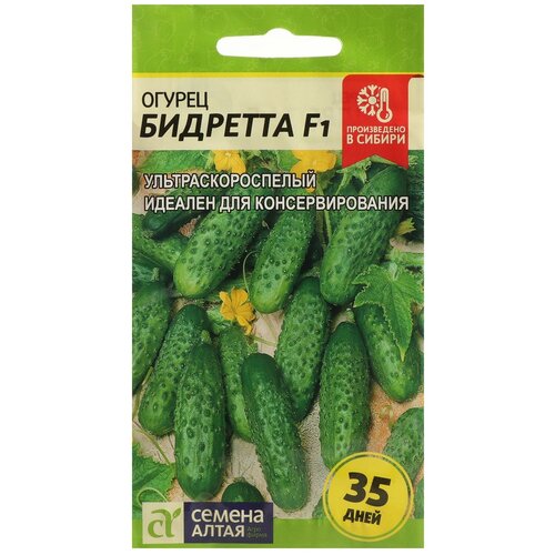 ������ ������ ������ ������ 