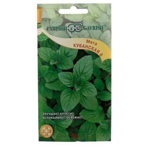 ������ ������ ������ ������ ���� �������� 