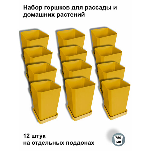 ������ ������ ������ ��� ������� � ������, 12 ���� �� ��������� ��������, ������ ����