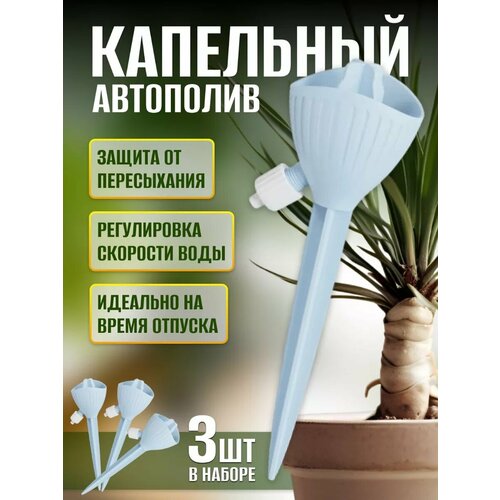 ������ ������ ��������� ��������� ��� ��������� �������� ����