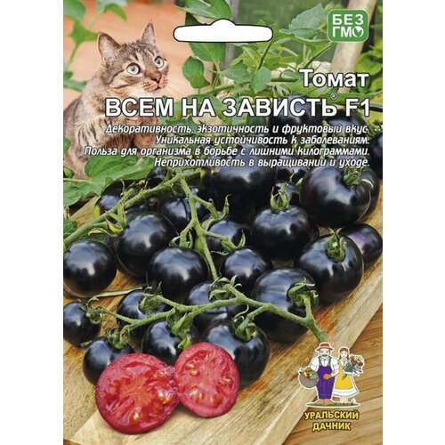 ������ ������ ������ ����� ���� �� ������� F1 20�� ����� ������ (��������� ������) ����