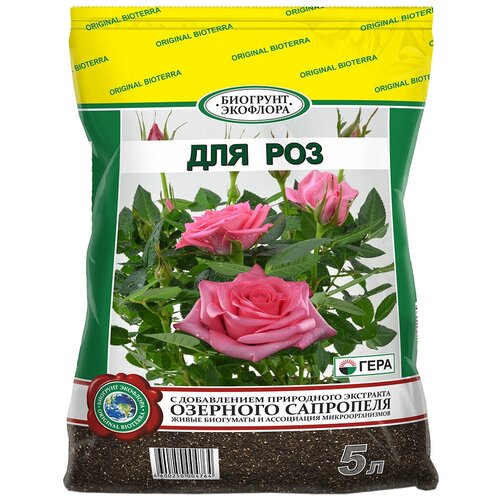 ������ ������ �������� ���� ��� ��� ������, 5 �, 1.2 �� ����